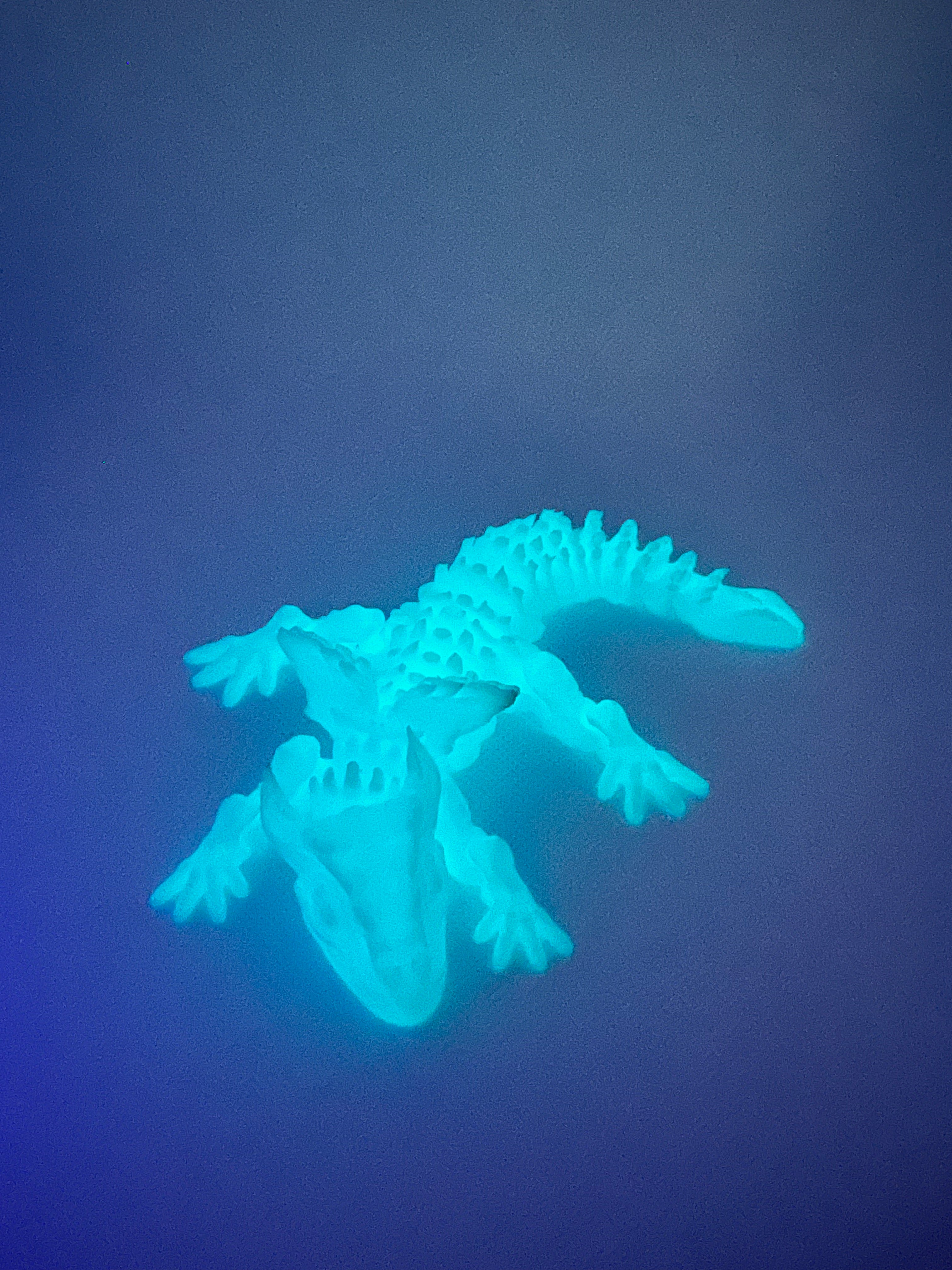 Glow in the Dark Flexi Dragon – Articulated 3D Printed Fidget Toy