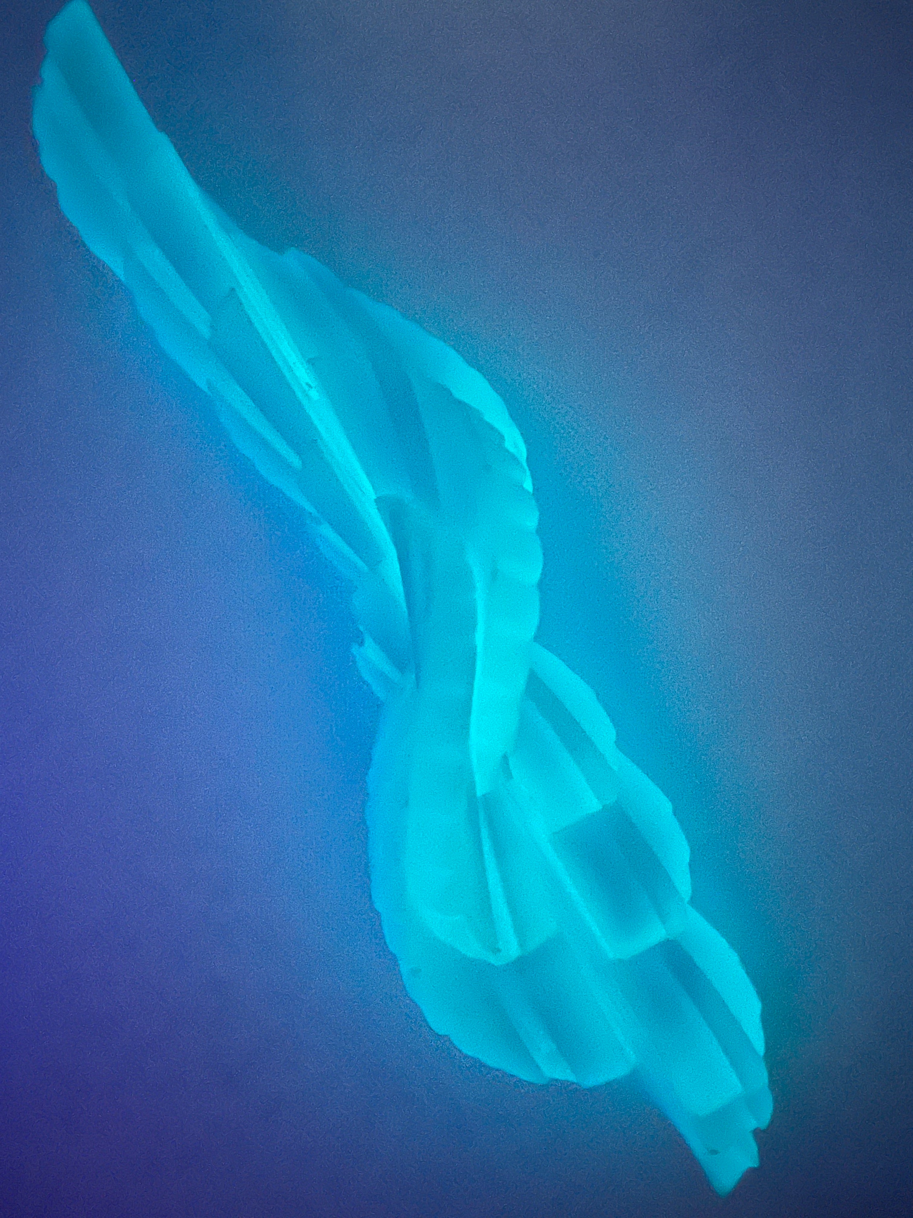 Fidget Glow in the dark Dragon egg