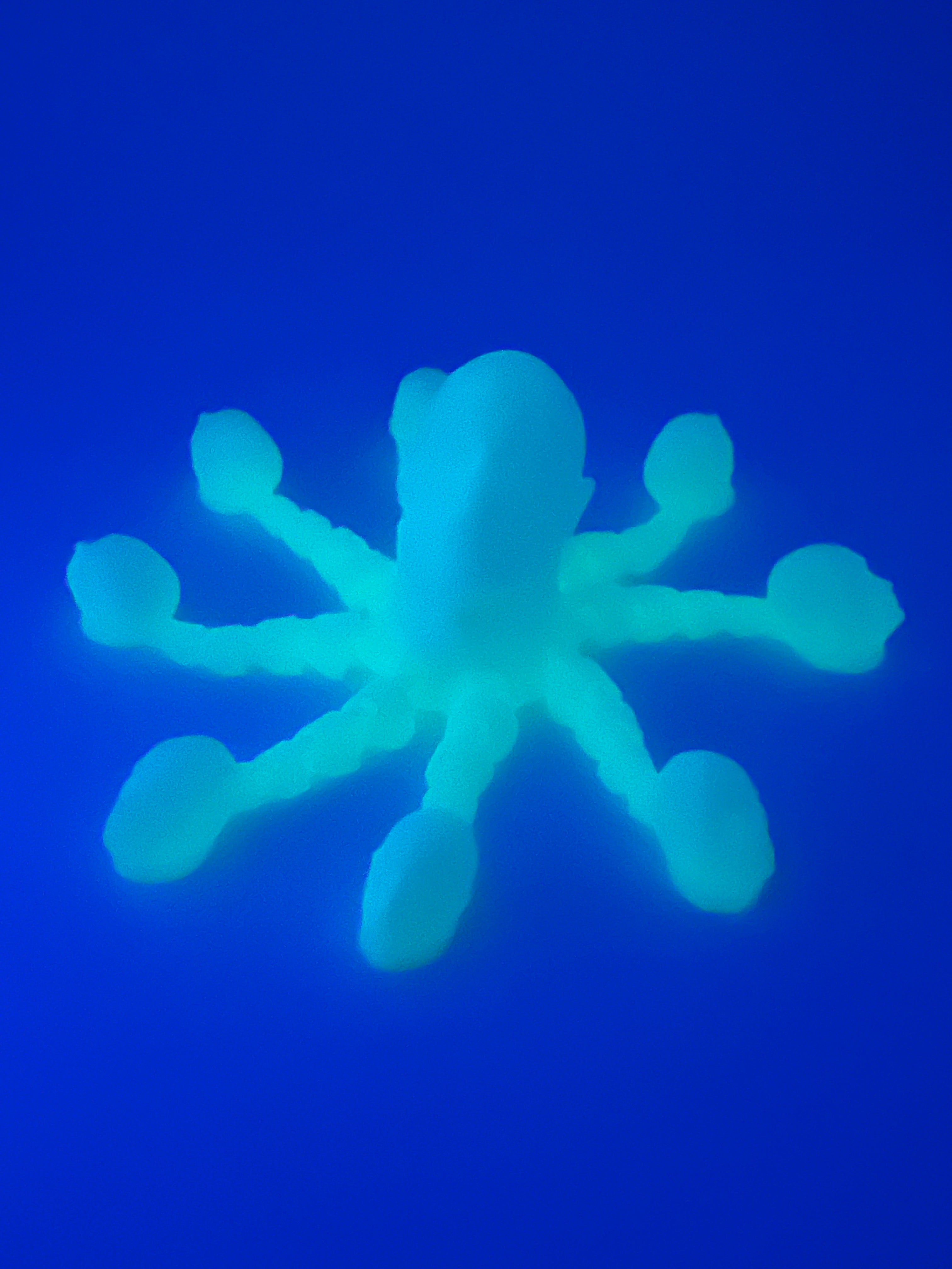 The rock head octopus glow in the dark flexi