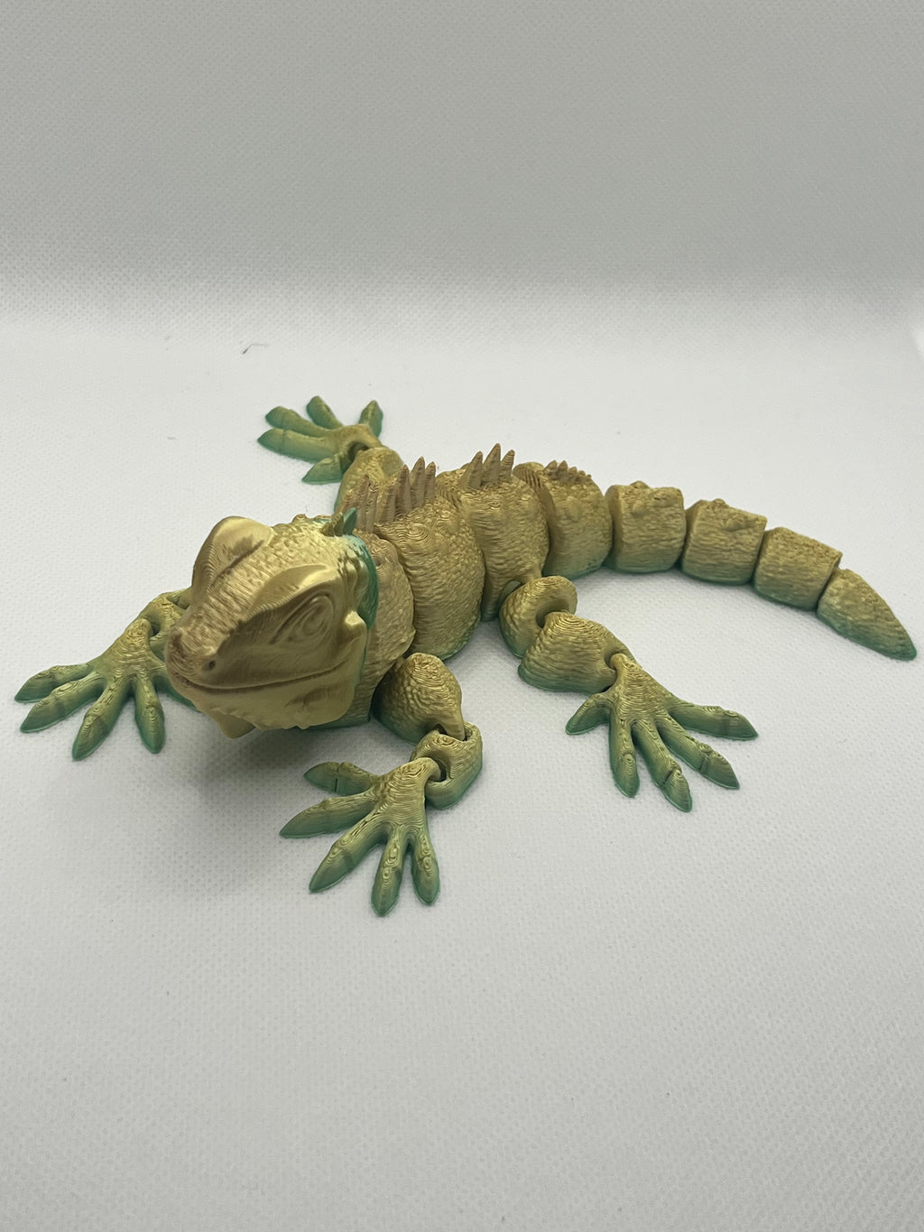 Iguana