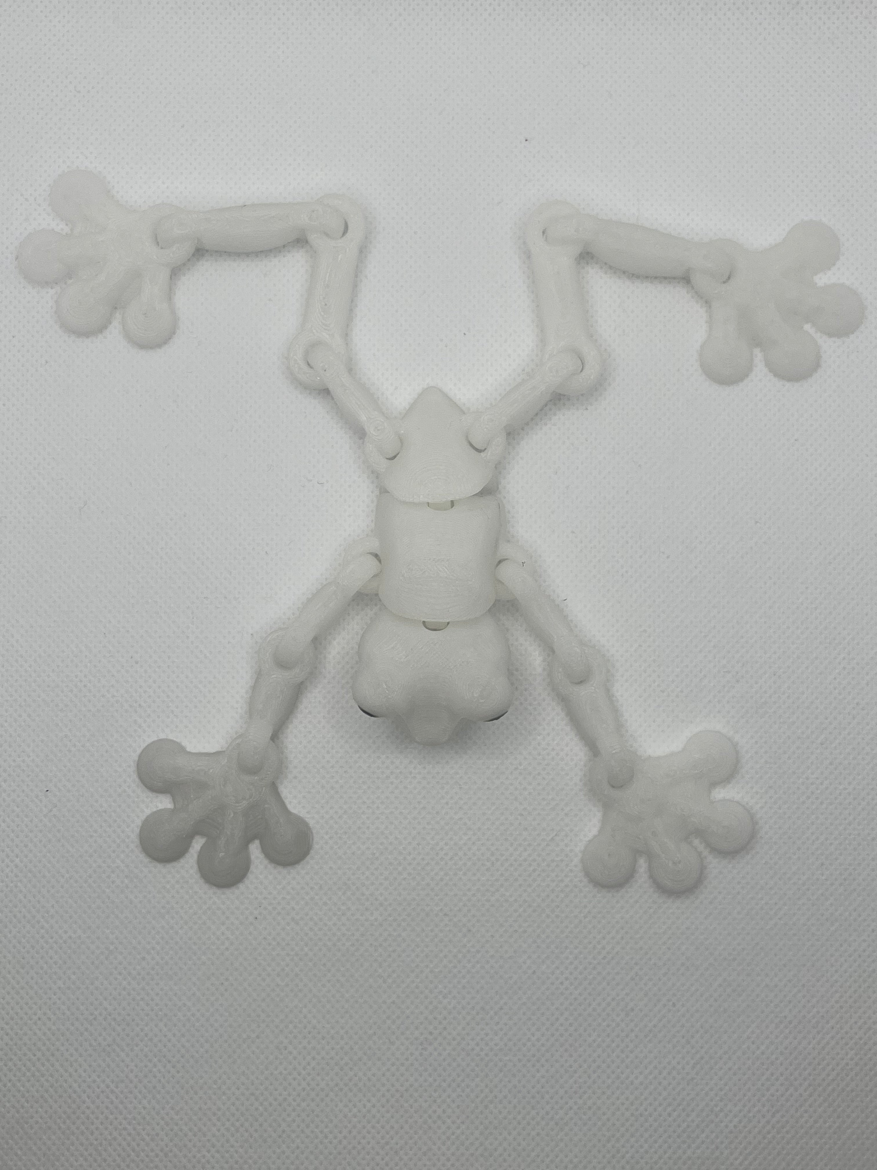 Glow-in-the-Dark Articulated Fidget Frog Figure