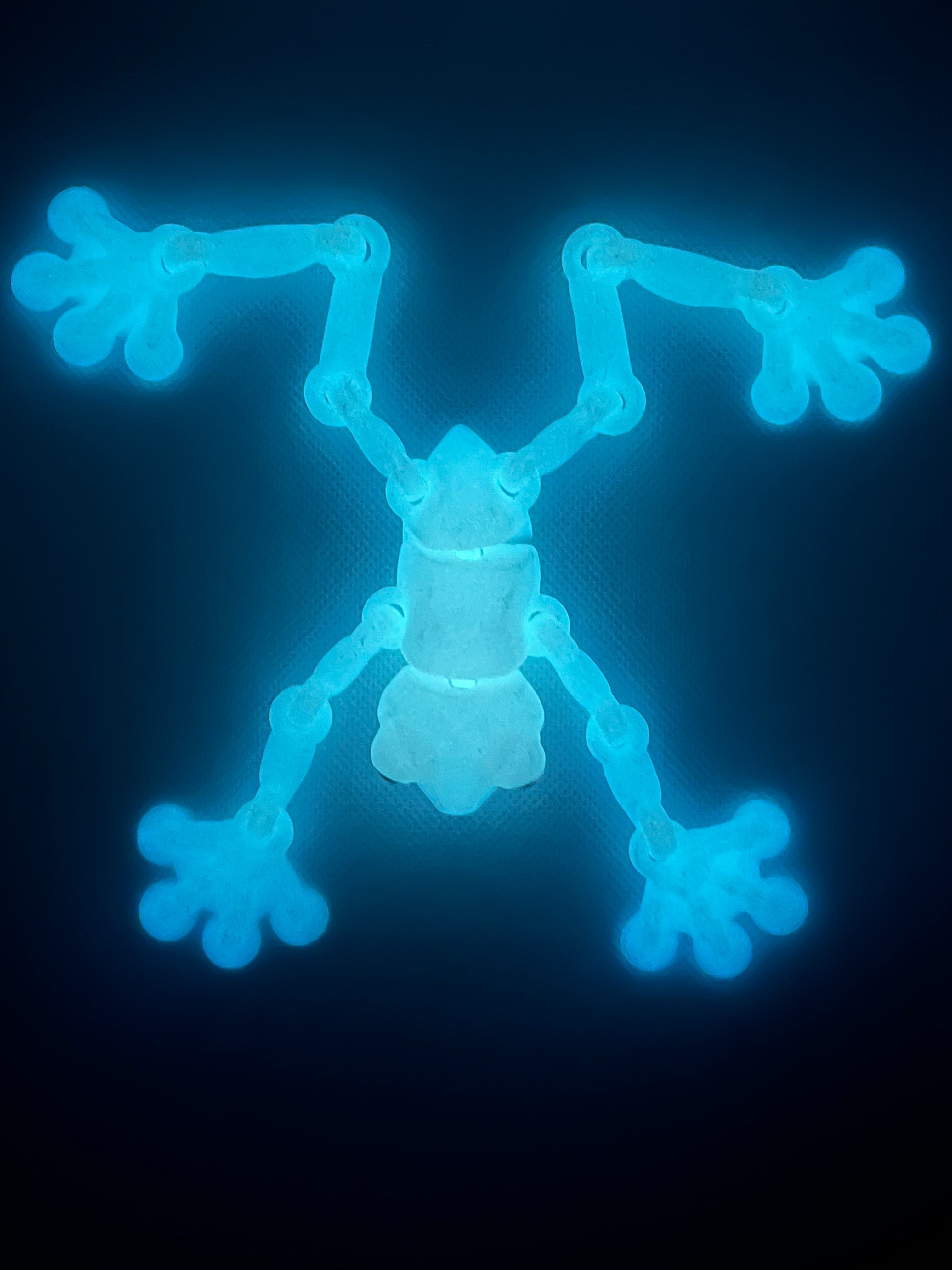 Glow-in-the-Dark Articulated Fidget Frog Figure