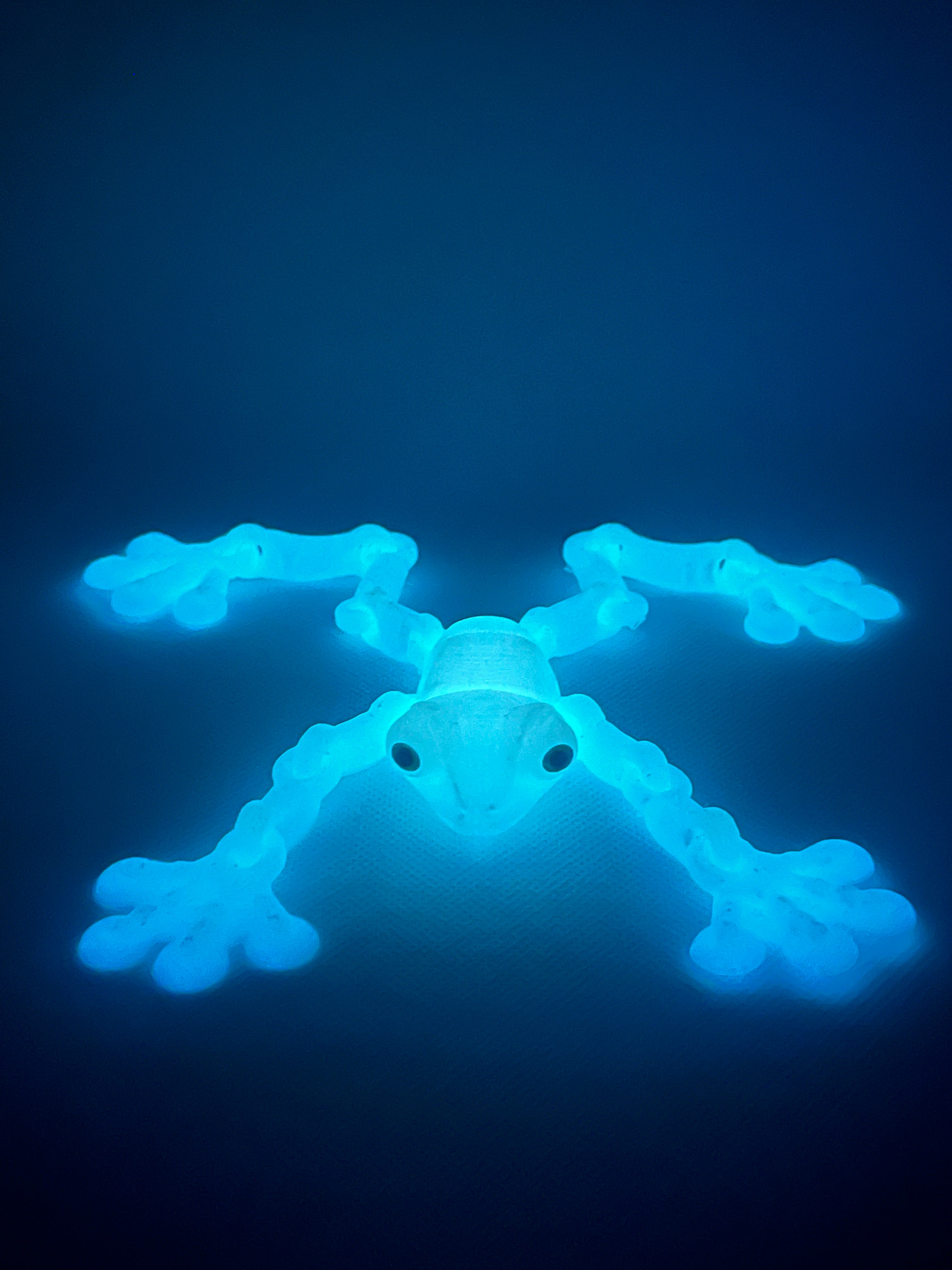 Glow-in-the-Dark Articulated Fidget Frog Figure